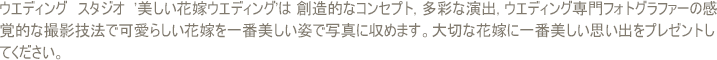 ウエディング　スタジオ  '美しい花嫁ウエディング'は 創造的なコンセプト, 多彩な演出, ウエディング専門フォトグラファーの感覚的な撮影技法で可愛らしい花嫁を一番美しい姿で写真に収めます.大切な花嫁に一番美しい思い出をプレゼントしてください.