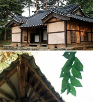 Maengssi Haengdan
