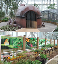 Asan Ecological Insect Center